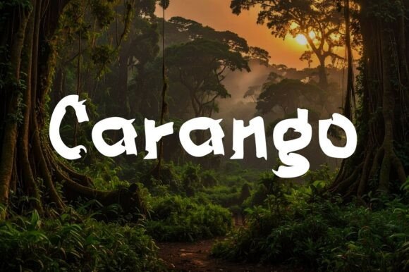 Introducing Carango: Embracing Organic Authenticity in Modern Visual Identity